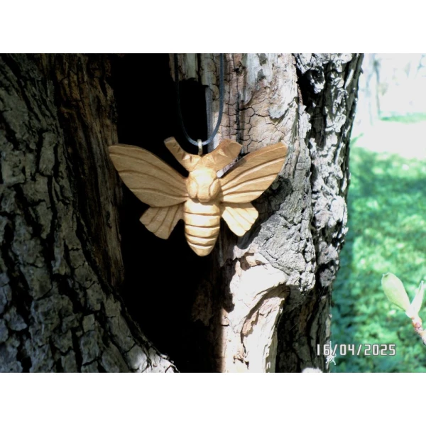 Cisza Skrzydeł / Silence of Wings